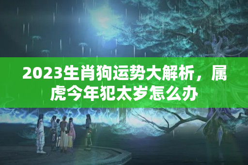 2023生肖狗运势大解析，属虎今年犯太岁怎么办