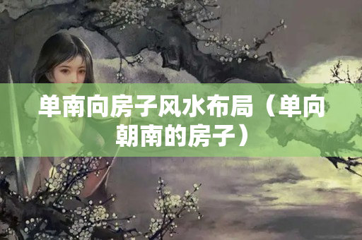 单南向房子风水布局（单向朝南的房子）