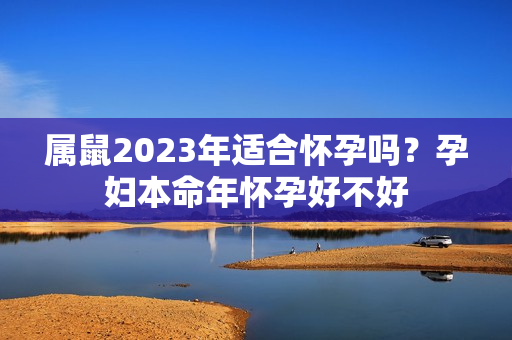 属鼠2023年适合怀孕吗？孕妇本命年怀孕好不好