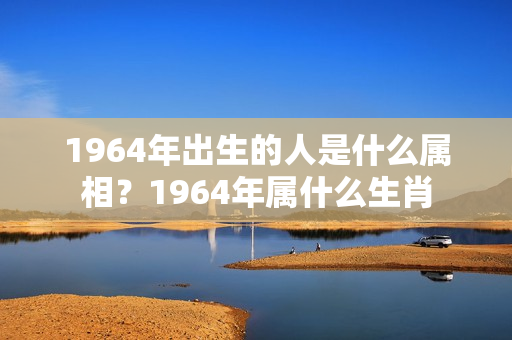 1964年出生的人是什么属相？1964年属什么生肖