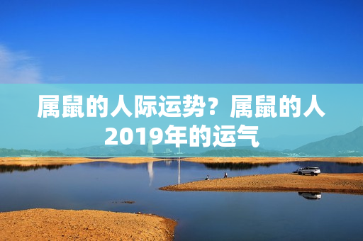 属鼠的人际运势？属鼠的人2019年的运气