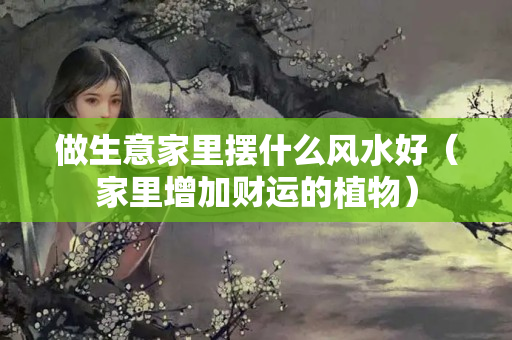 做生意家里摆什么风水好（家里增加财运的植物）