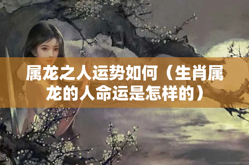 属龙之人运势如何（生肖属龙的人命运是怎样的）