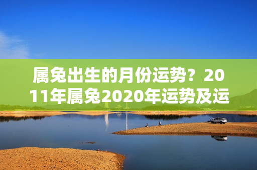 属兔出生的月份运势？2011年属兔2020年运势及运程