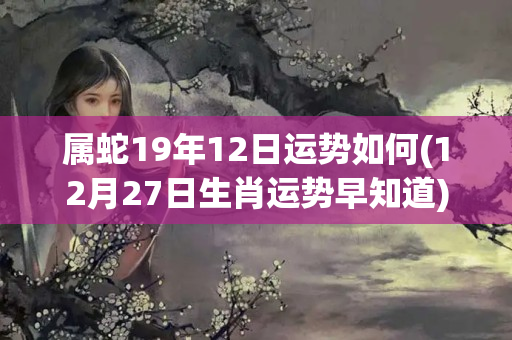 属蛇19年12日运势如何(12月27日生肖运势早知道)