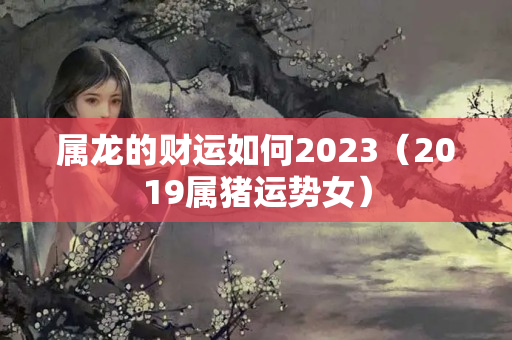 属龙的财运如何2023（2019属猪运势女）