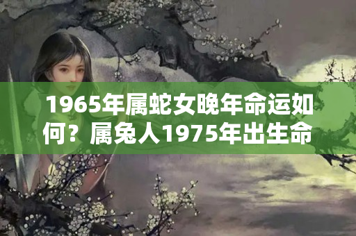 1965年属蛇女晚年命运如何？属兔人1975年出生命运