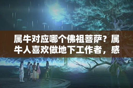 属牛对应哪个佛祖菩萨？属牛人喜欢做地下工作者，感情较执着，恋情不稳定时轻易不会曝光