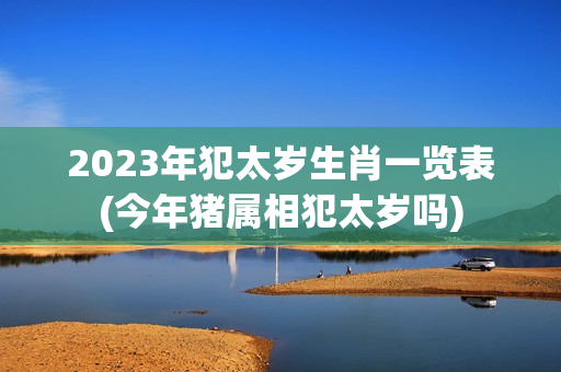 2023年犯太岁生肖一览表(今年猪属相犯太岁吗)