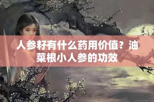 人参籽有什么药用价值？油菜根小人参的功效