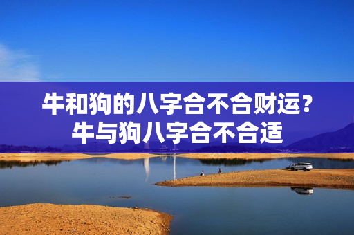 牛和狗的八字合不合财运？牛与狗八字合不合适