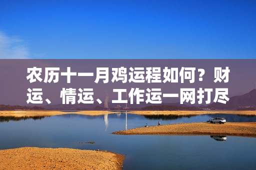 农历十一月鸡运程如何？财运、情运、工作运一网打尽！最全的十二生肖11月整体运势一览