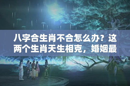 八字合生肖不合怎么办？这两个生肖天生相克，婚姻最易破裂