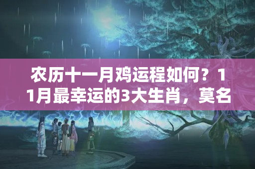 农历十一月鸡运程如何？11月最幸运的3大生肖，莫名其妙总有好事发生！