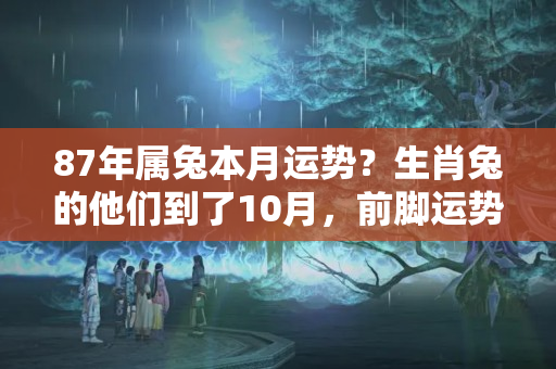 87年属兔本月运势？生肖兔的他们到了10月，前脚运势红火，后脚赚得盆满钵满