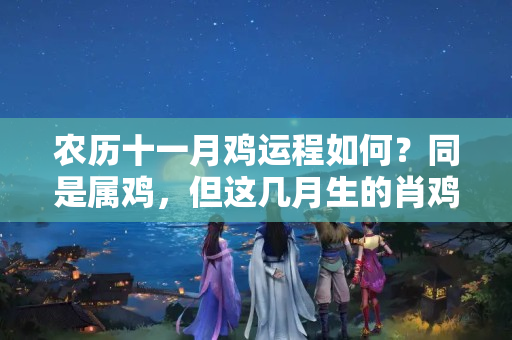 农历十一月鸡运程如何？同是属鸡，但这几月生的肖鸡人运气就是好一些！