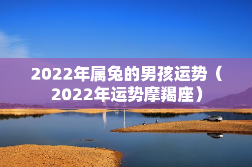 2022年属兔的男孩运势（2022年运势摩羯座）