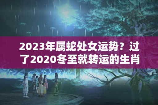 2023年属蛇处女运势？过了2020冬至就转运的生肖