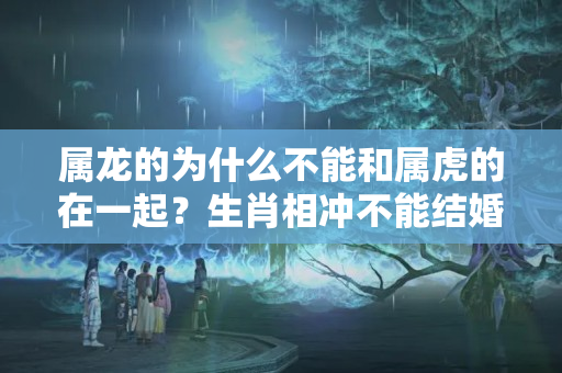 属龙的为什么不能和属虎的在一起？生肖相冲不能结婚？终于找到化解之法了！