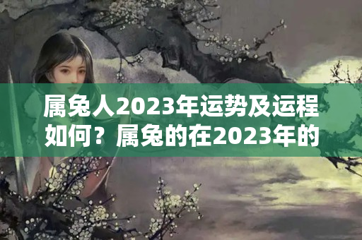 属兔人2023年运势及运程如何？属兔的在2023年的运势怎么样 全年