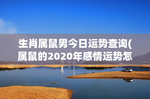 生肖属鼠男今日运势查询(属鼠的2020年感情运势怎么样)