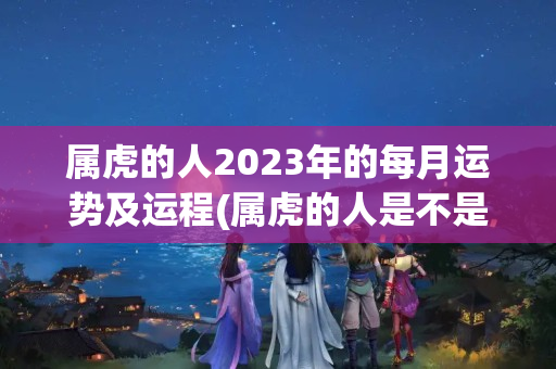 属虎的人2023年的每月运势及运程(属虎的人是不是没财运)