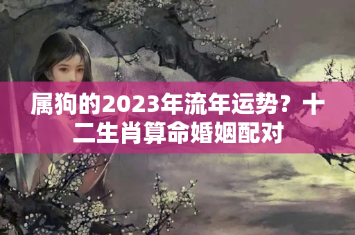 属狗的2023年流年运势？十二生肖算命婚姻配对