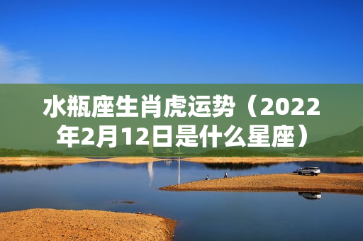 水瓶座生肖虎运势（2022年2月12日是什么星座）