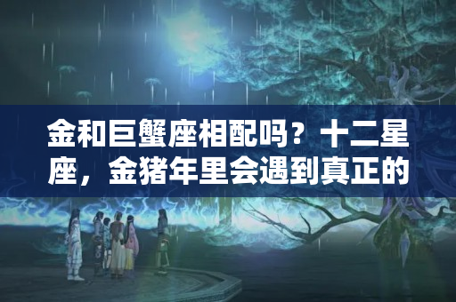 金和巨蟹座相配吗？十二星座，金猪年里会遇到真正的贵人，从此能够富贵加身的星座！