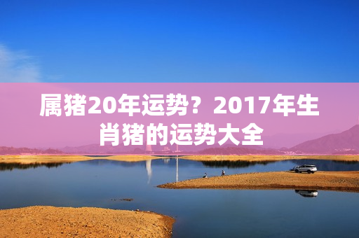 属猪20年运势？2017年生肖猪的运势大全