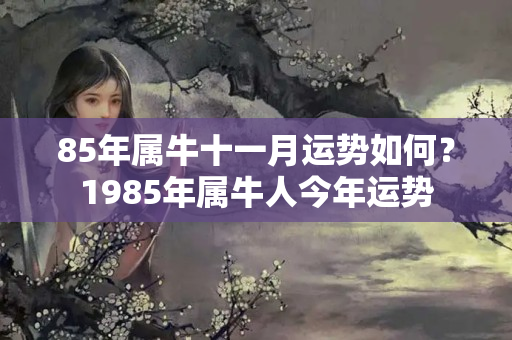 85年属牛十一月运势如何？1985年属牛人今年运势