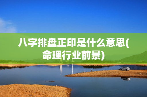 八字排盘正印是什么意思(命理行业前景)