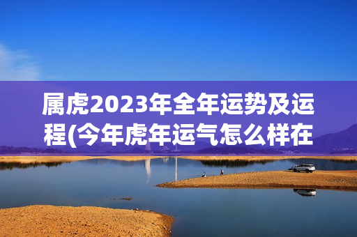 属虎2023年全年运势及运程(今年虎年运气怎么样在2023)