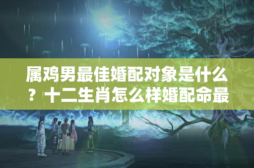 属鸡男最佳婚配对象是什么？十二生肖怎么样婚配命最好？真准