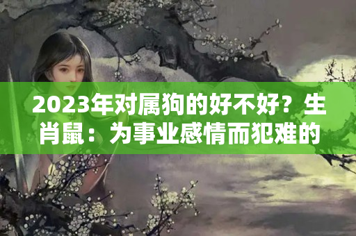 2023年对属狗的好不好？生肖鼠：为事业感情而犯难的人