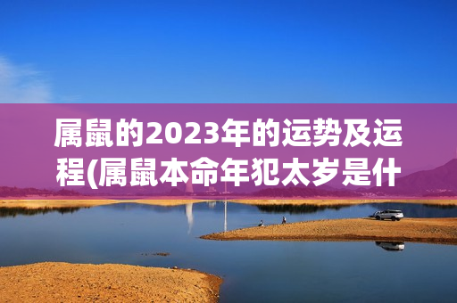 属鼠的2023年的运势及运程(属鼠本命年犯太岁是什么意思)