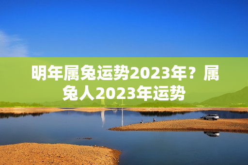 明年属兔运势2023年？属兔人2023年运势