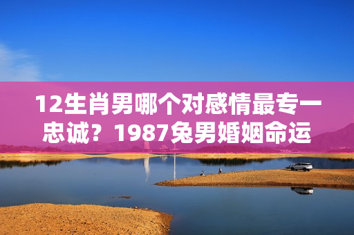 12生肖男哪个对感情最专一忠诚？1987兔男婚姻命运如何