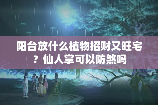 阳台放什么植物招财又旺宅？仙人掌可以防煞吗