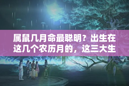 属鼠几月命最聪明？出生在这几个农历月的，这三大生肖，天生劳碌，容易辛苦劳而无功