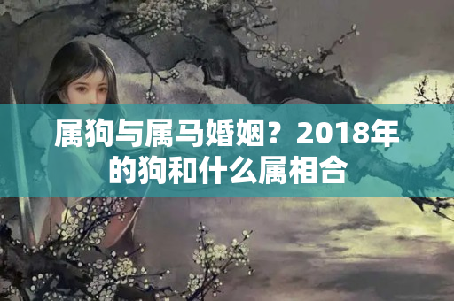 属狗与属马婚姻？2018年的狗和什么属相合