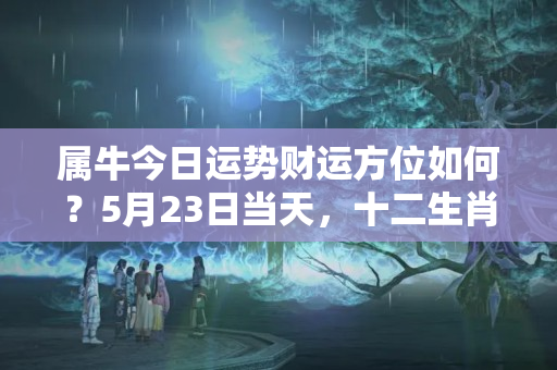 属牛今日运势财运方位如何？5月23日当天，十二生肖今日运势排名，十二生肖旺财方位