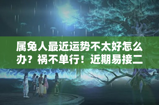 属兔人最近运势不太好怎么办？祸不单行！近期易接二连三发生不顺之事的生肖