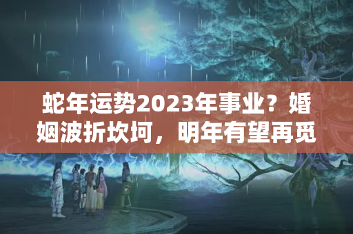 蛇年运势2023年事业？婚姻波折坎坷，明年有望再觅良缘的生肖人