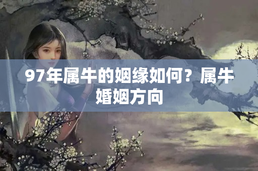 97年属牛的姻缘如何？属牛婚姻方向