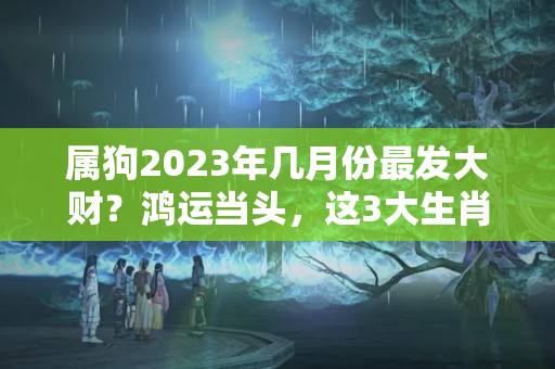 属狗2023年几月份最发大财？鸿运当头，这3大生肖在未来三月将会发大财