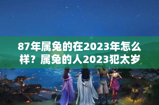 87年属兔的在2023年怎么样？属兔的人2023犯太岁吗