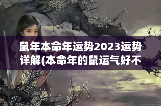 鼠年本命年运势2023运势详解(本命年的鼠运气好不好)