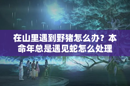 在山里遇到野猪怎么办？本命年总是遇见蛇怎么处理