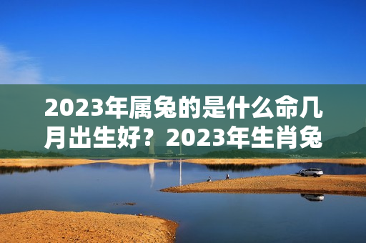 2023年属兔的是什么命几月出生好？2023年生肖兔是什么水命